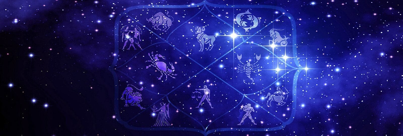 Vedic Astrology Best astrologer in Den Haag