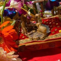 159311555_467552744436312_101806866812806443_n