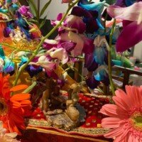 159461488_3724831807595086_8284873520626003078_n