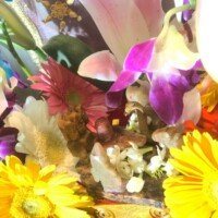 159592716_857047068195064_6819115352793924811_n