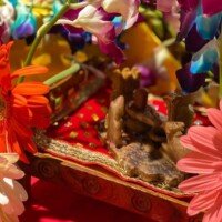 160084309_258674622657353_6157941123938473094_n